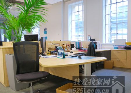 辦公室風水布置