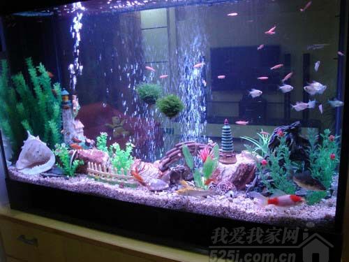 魚缸